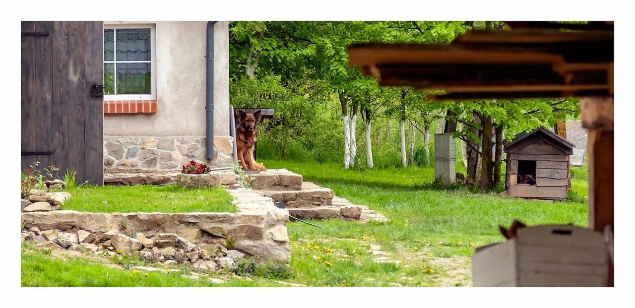 Вилла Kozy I Roze Олджиховице-Клодзке Экстерьер фото